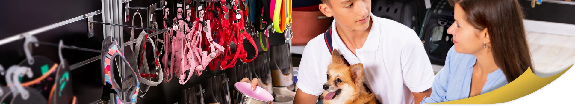 banner - sklep dla zwierząt dobieranie smyczy dla psa